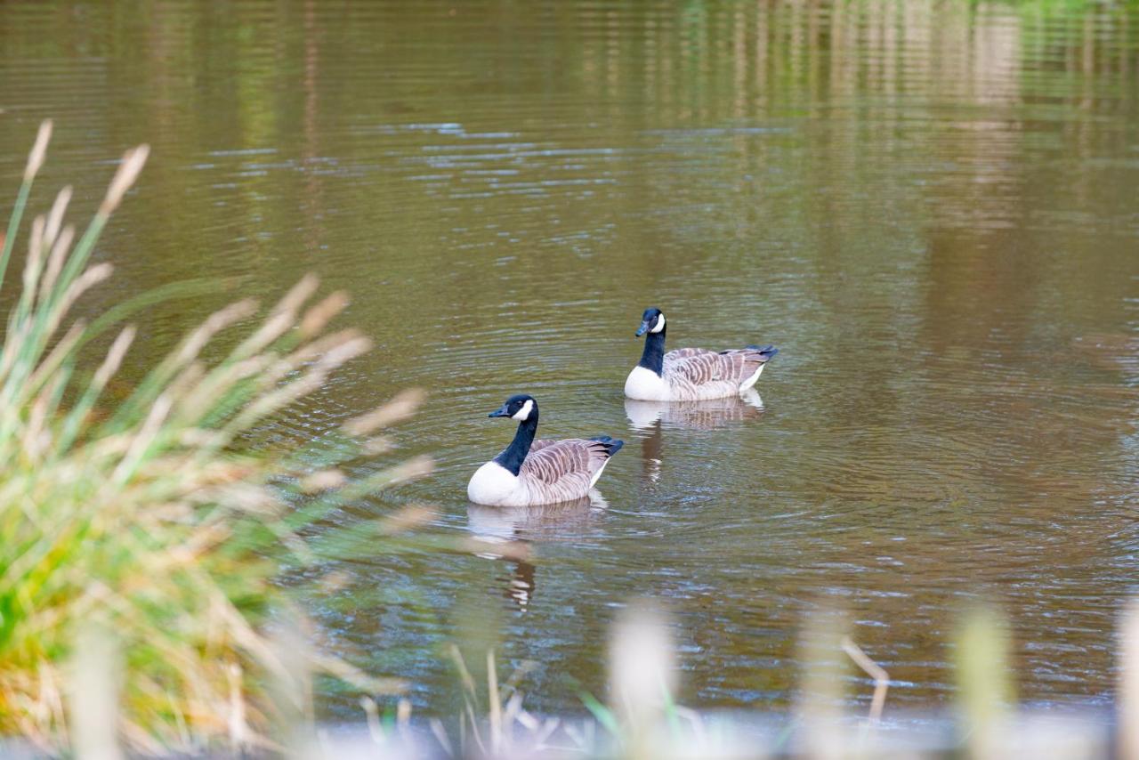 Our Goldfinch 1- Sleeps 2 Persons- Private Hot Tub-Pet Friendly-Tranquil Holiday Away From It All Yet Not Far From St Austell- The Holiday Home Has One Bedroom, Living And Dining Area, Equipped Kitchen-Decking-Outdoor Furniture-Fishing Lakes And More Grampound Exterior photo